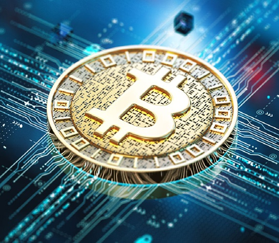 On-Chain Verification